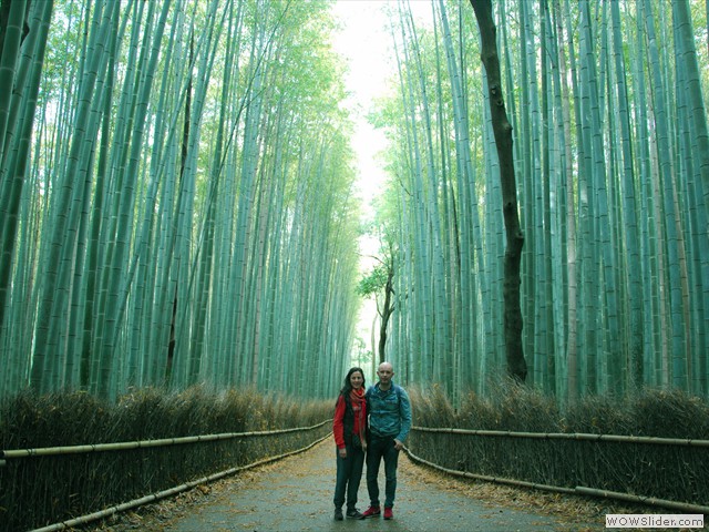 Bosque de Bambu en Arashiyama