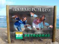Proyecto Tartaruga