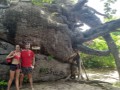 Baobab